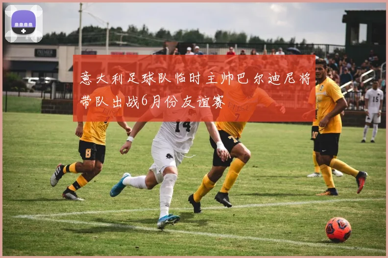 意大利足球队临时主帅巴尔迪尼将带队出战6月份友谊赛